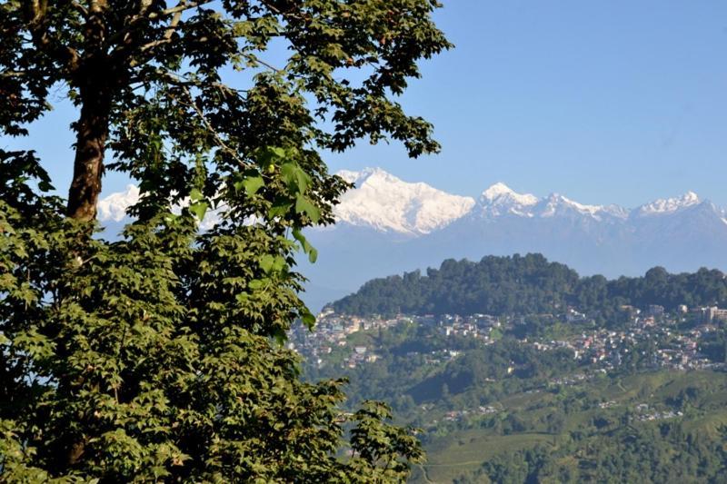 Darjeeling Bnb 外观 照片